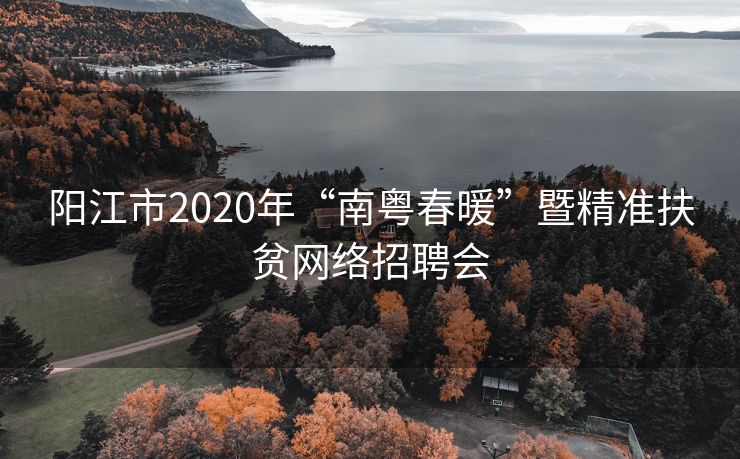 阳江市2020年“南粤春暖”暨精准扶贫网络招聘会