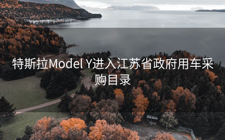 特斯拉Model Y进入江苏省政府用车采购目录