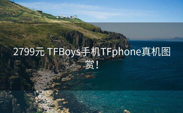 2799元 TFBoys手机TFphone真机图赏！